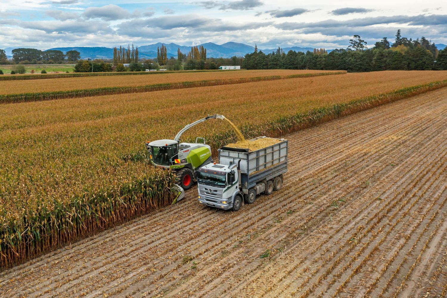 Venture Timaru Business Success