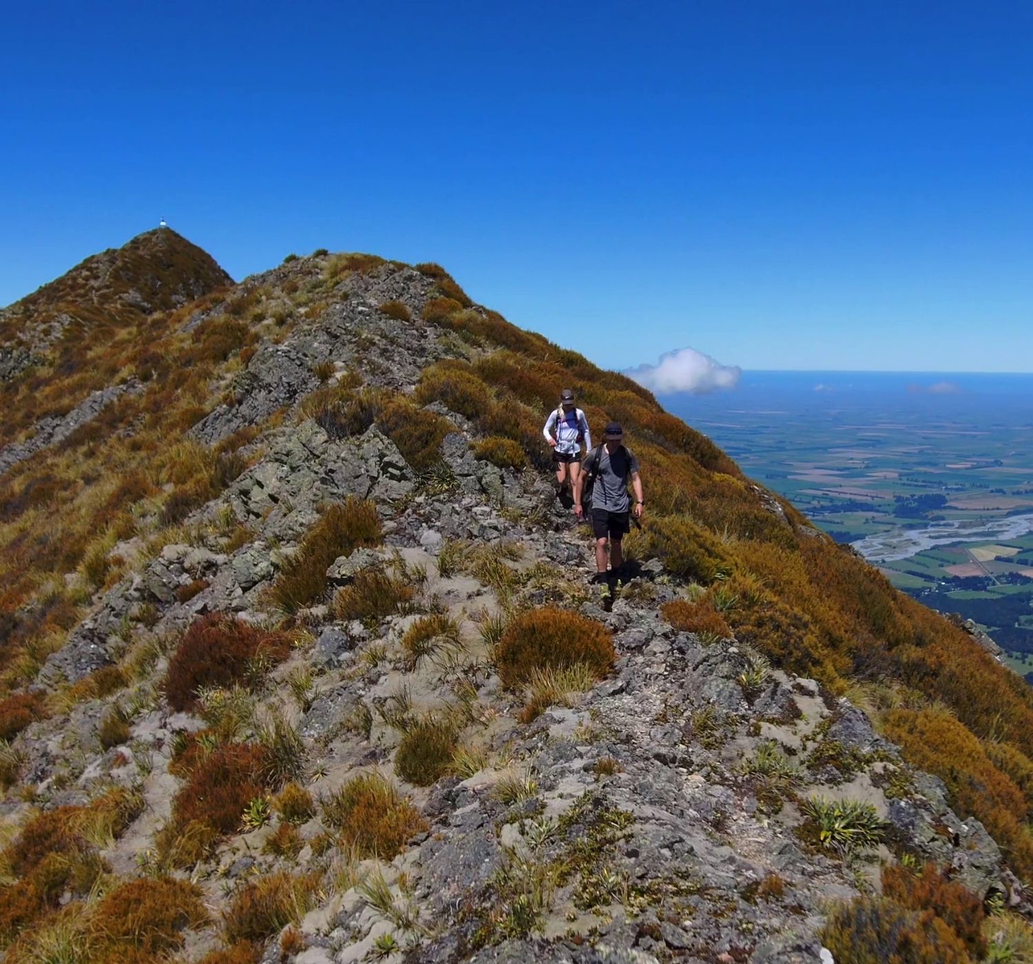 Life in Timaru District
